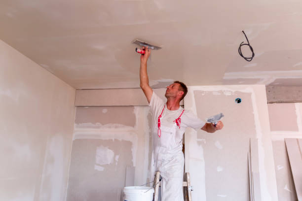 Best Cabinet Painting and Refinishing  in Maxwell, CA